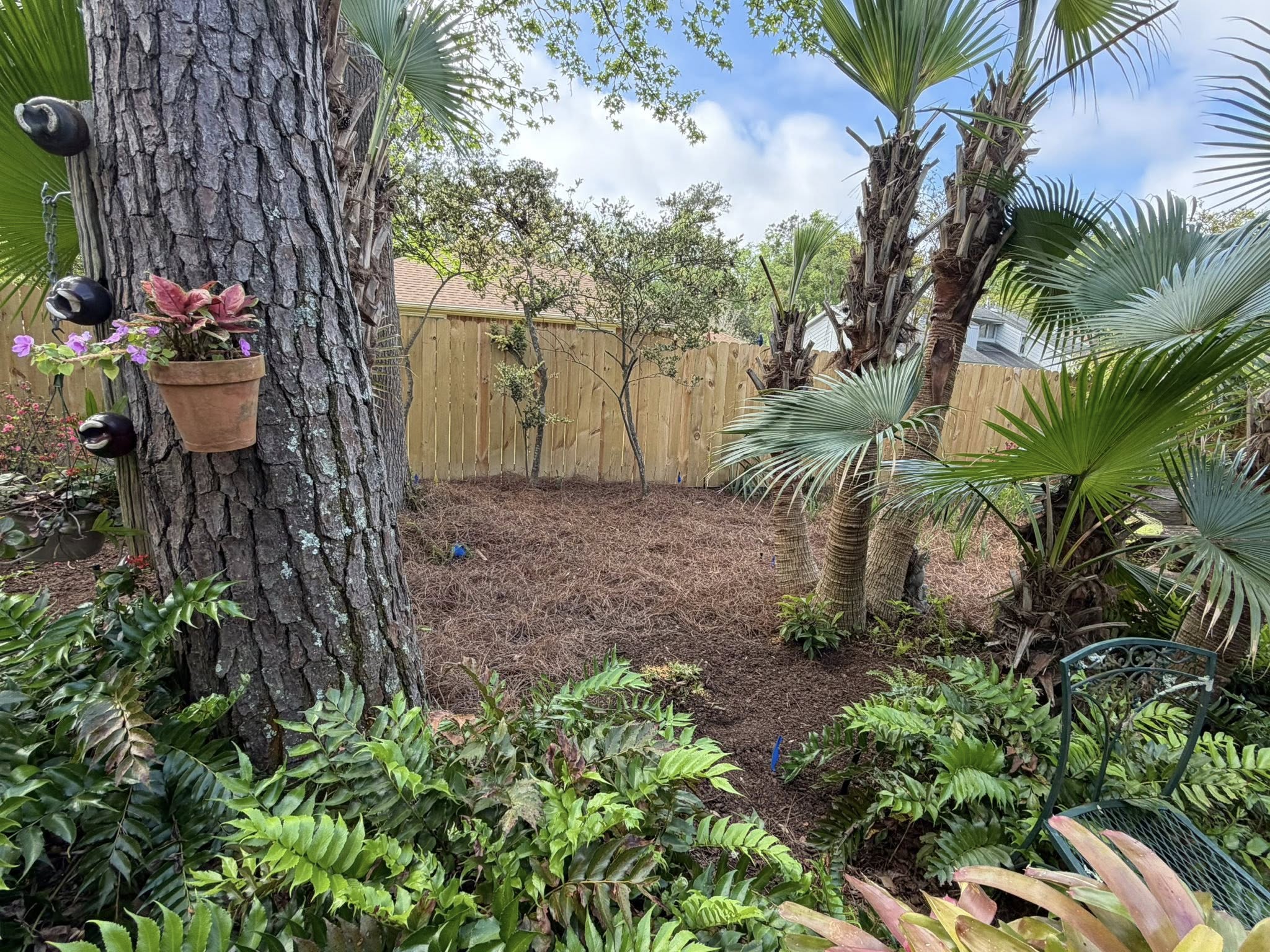 Freshly maintained lawn and landscape on a Northshore Louisiana property cared for by SOTE LLC
