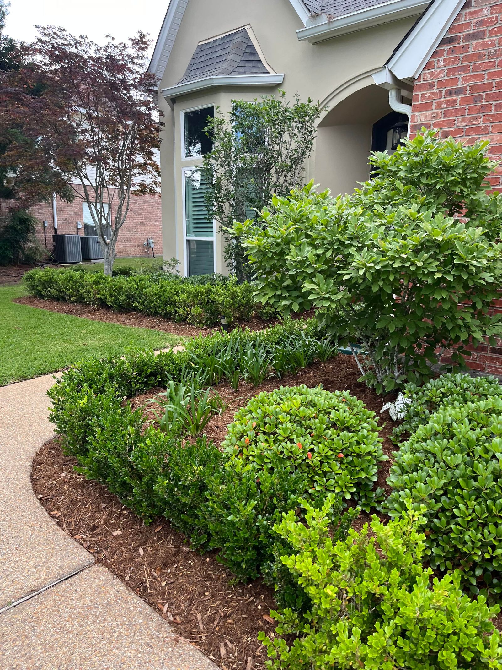 SOTE landscape work on a Northshore property