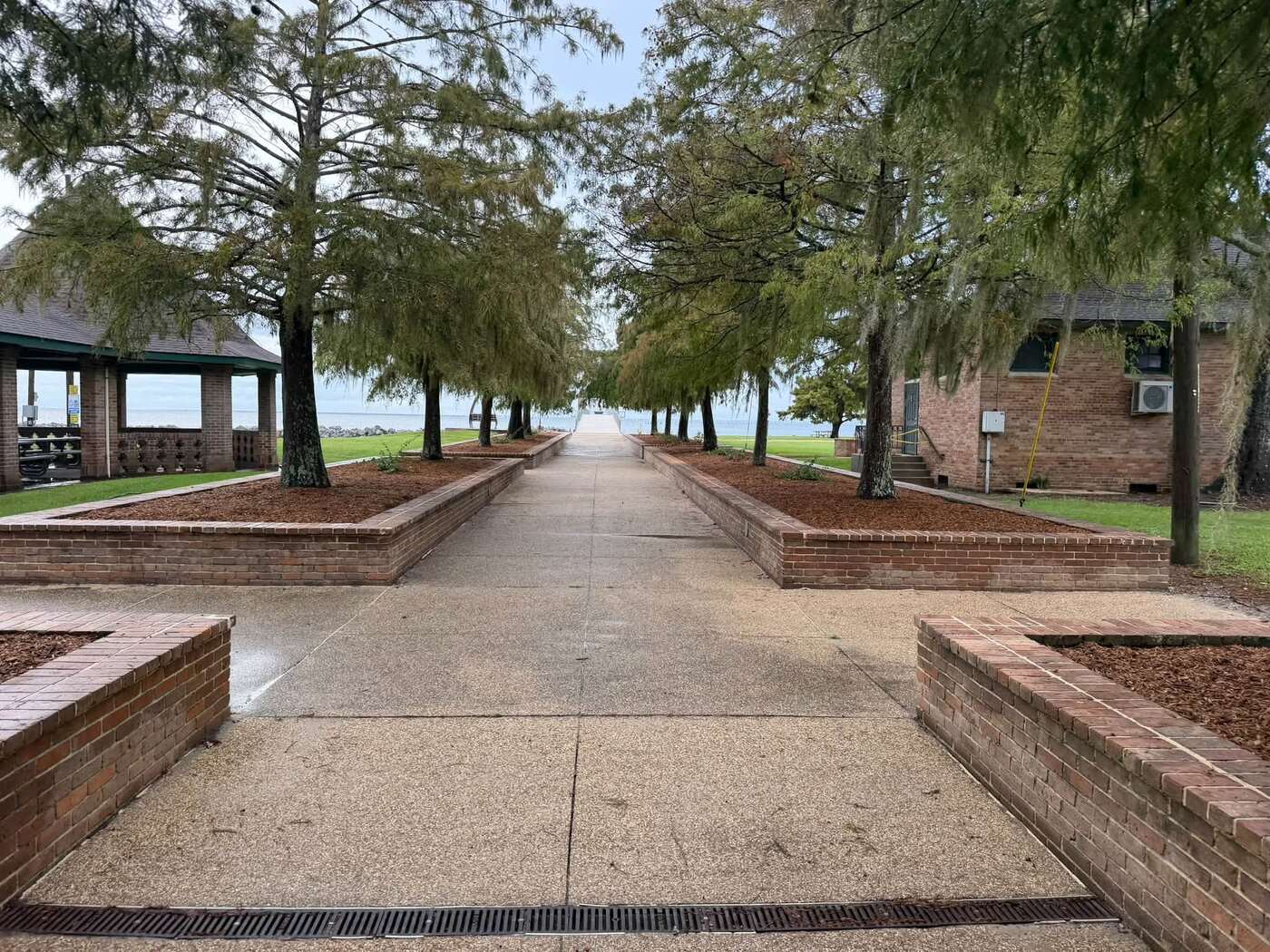 Cleaned-up walkway between raised brick planters topped with fresh mulch under cypress trees
